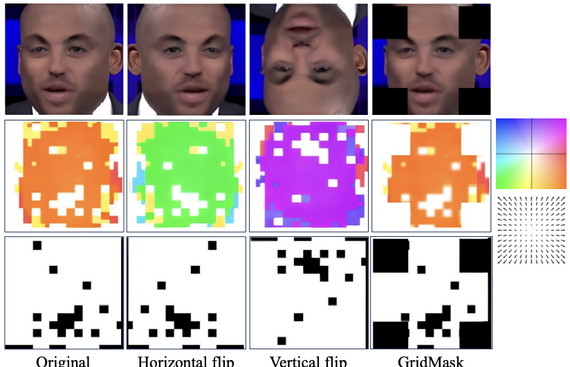 Data augmentation pipeline: original, horizontal flip, vertical flip, GridMask